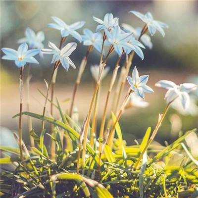 半岛综合娱乐app下载手机版