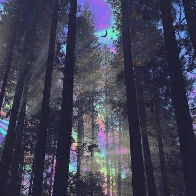 澳门金沙扫码下载