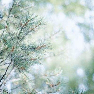 ag真人平台官方截图