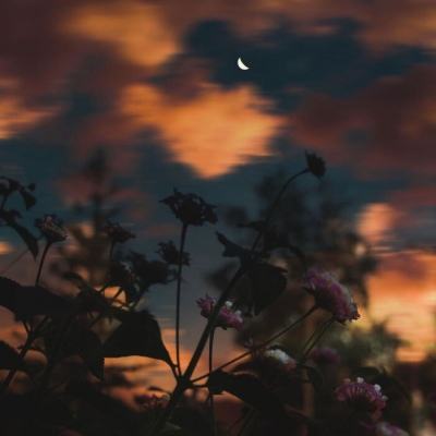 足球滚球的正规平台app